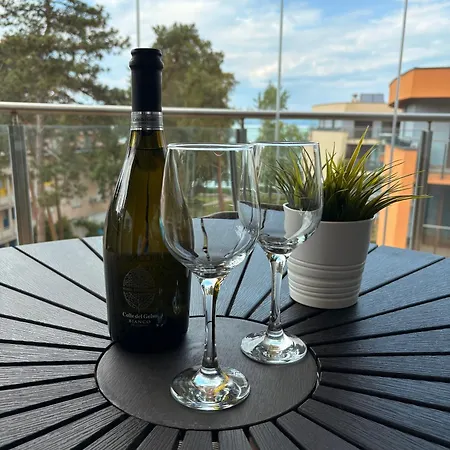 Silver Gull 公寓 *