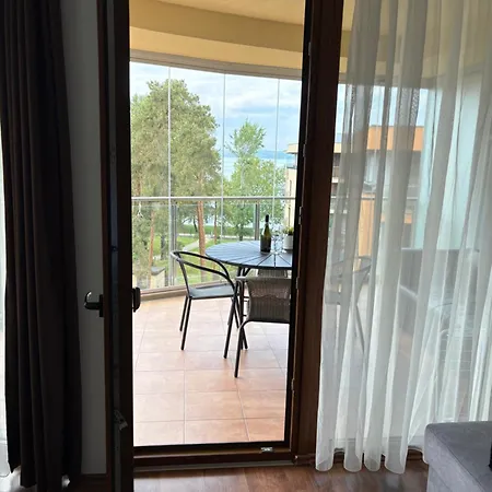 Silver Gull * Siófok